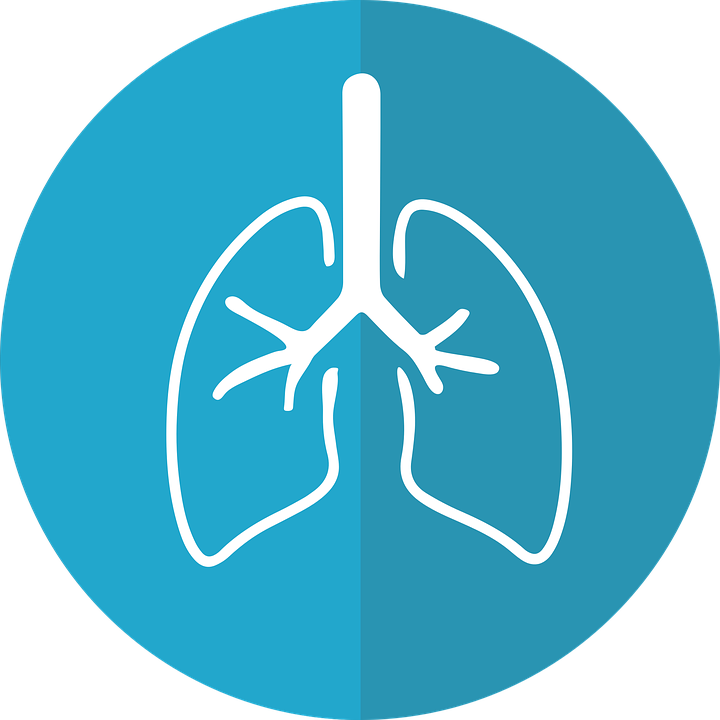 lungs-2803208_960_720