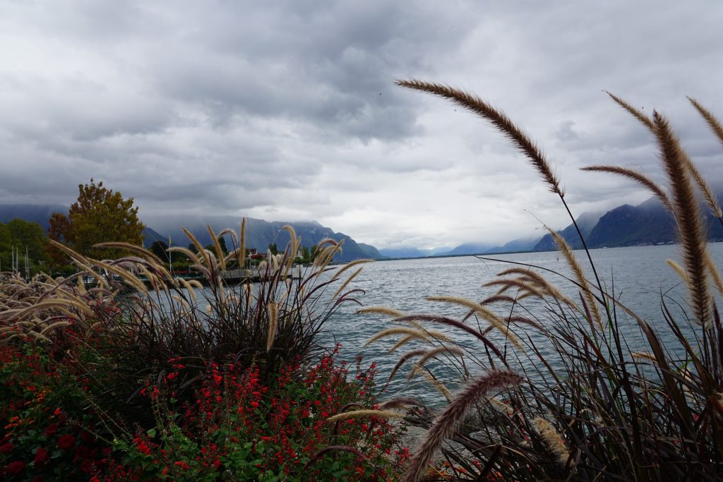 lake in winter