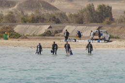 divers with oxygen cylinders entering the sea
