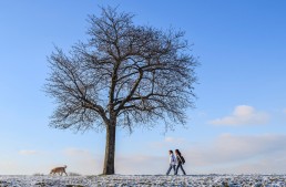 Couple walking with dog in winter landscape