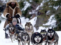 Go mushing? Yes, you can with OxygenWorldwide