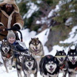 Go mushing? Yes, you can with OxygenWorldwide